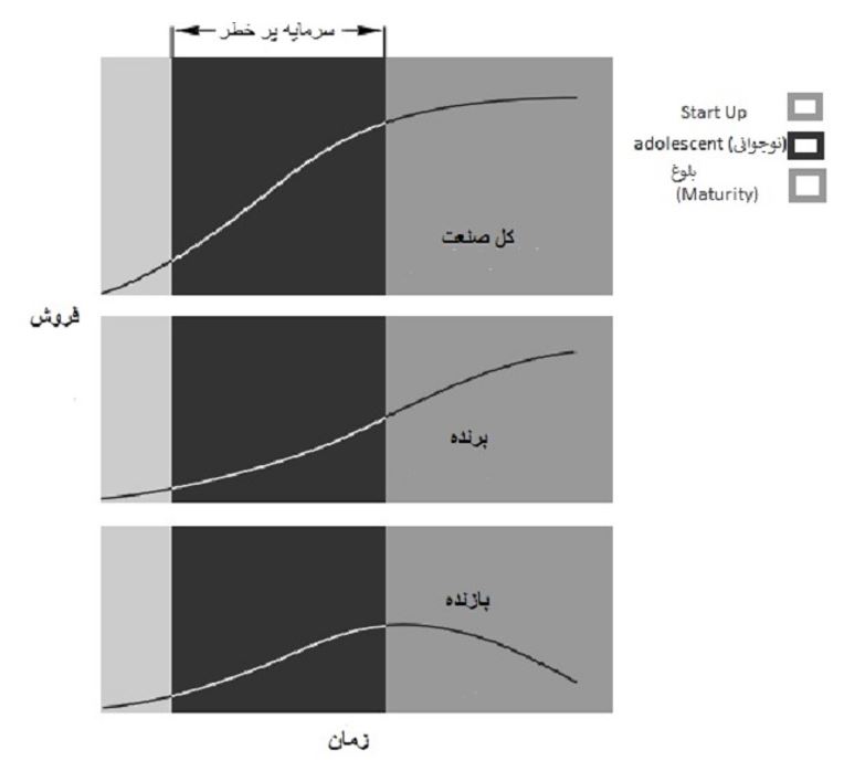 شکل 2- ترسیمی از سرمایه گذاری در استارت آپ ها در دوره نوپایی (adolescent)