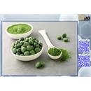 ریز جلبک ها