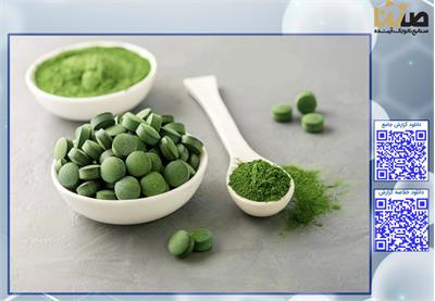 ریز جلبک ها