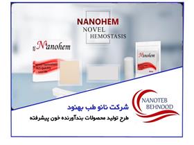 شرکت نانو طب بهنود