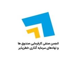 انجمن سرمایه گذاری خطر پذیر